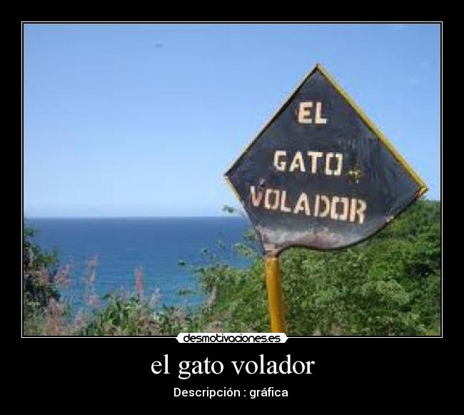 el gato volador - Descripción : gráfica