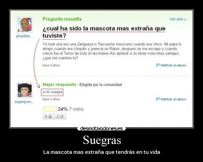 Suegras -