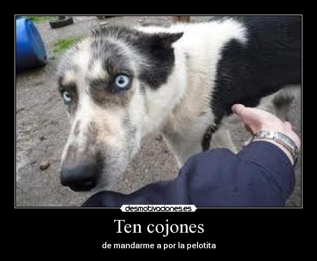 Ten cojones - 