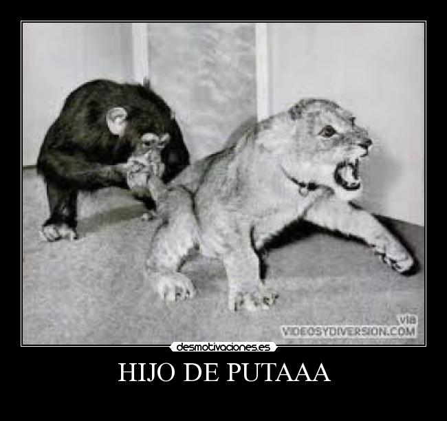 HIJO DE PUTAAA -