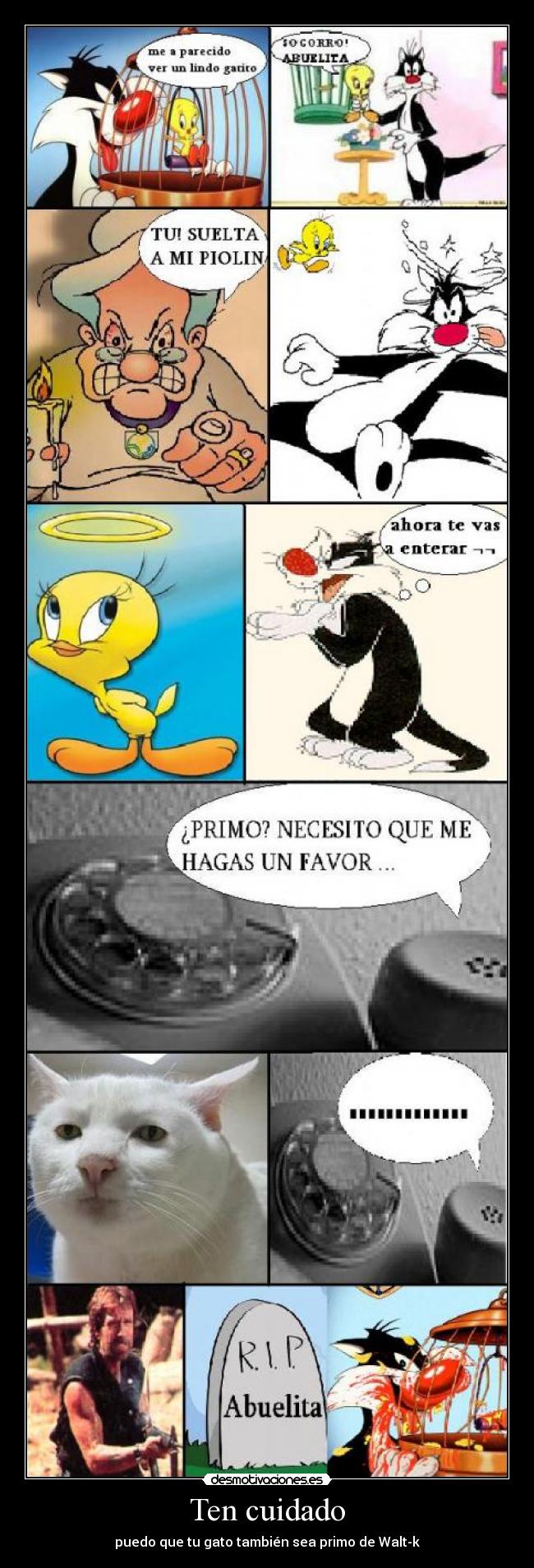 Ten cuidado - puedo que tu gato también sea primo de Walt-k