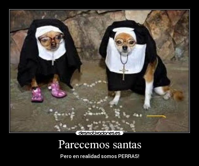 Parecemos santas -