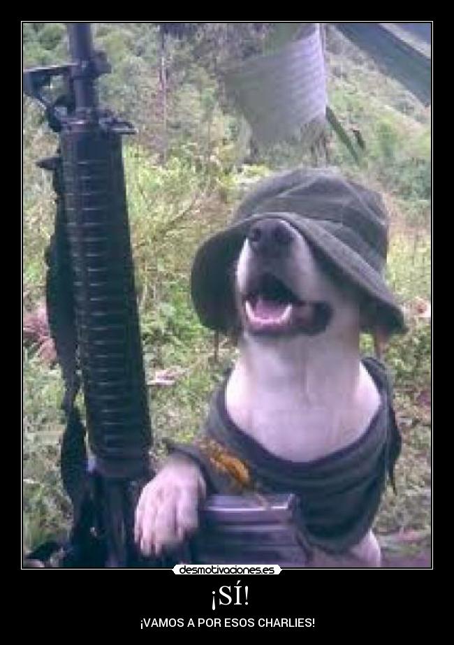 ¡SÍ! - ¡VAMOS A POR ESOS CHARLIES!