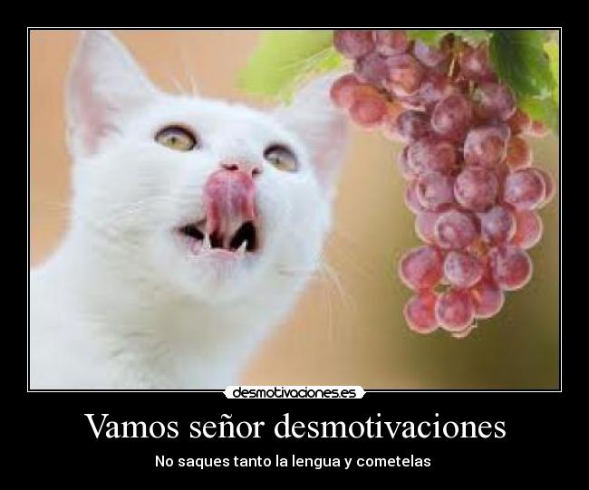 Vamos señor desmotivaciones - 