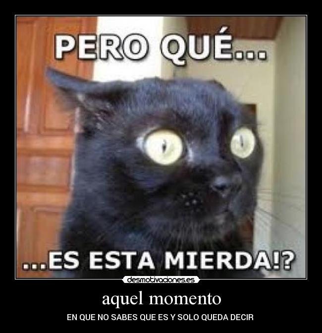 aquel momento - EN QUE NO SABES QUE ES Y SOLO QUEDA DECIR