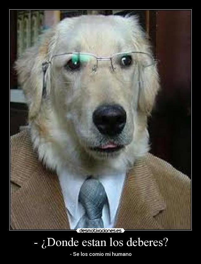 - ¿Donde estan los deberes? - - Se los comio mi humano