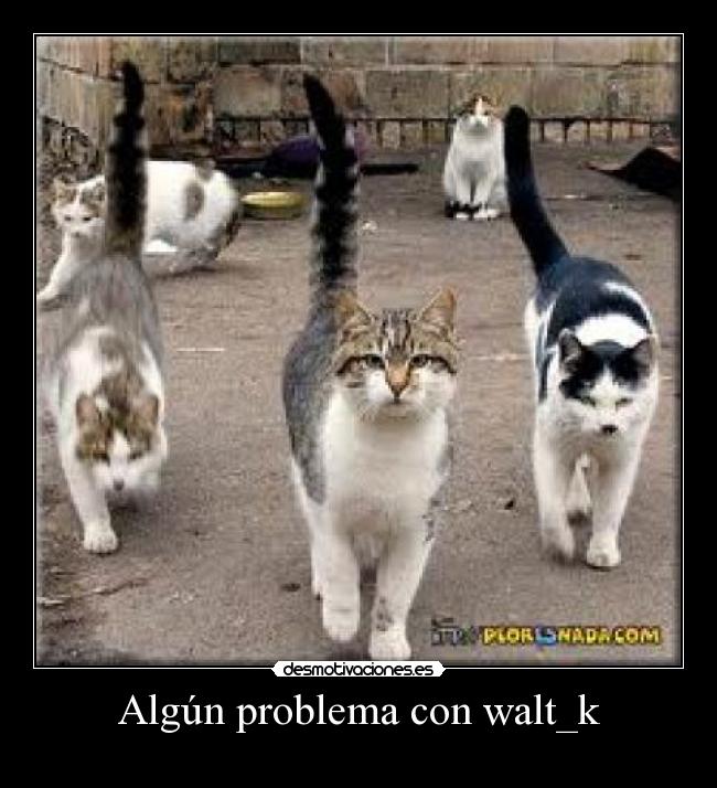 carteles jair desmotivaciones