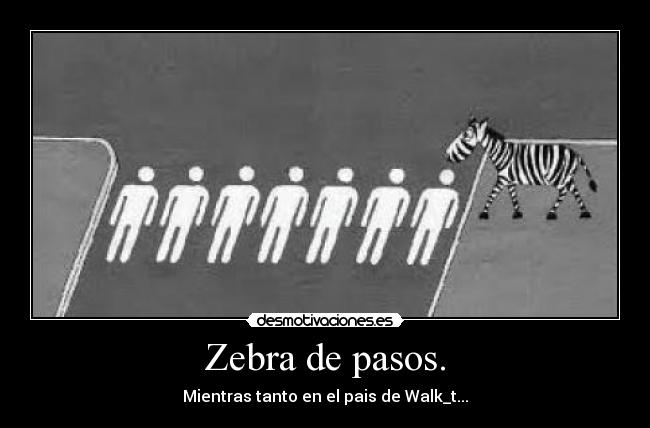 Zebra de pasos. - Mientras tanto en el pais de Walk_t...