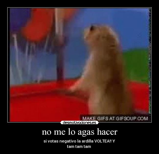 no me lo agas hacer - si votas negativo la ardilla VOLTEA!! Y
tam tam tam
