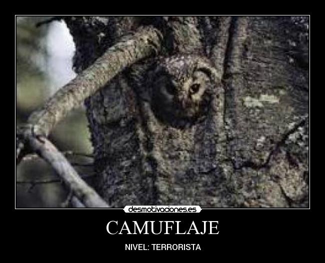 CAMUFLAJE - NIVEL: TERRORISTA