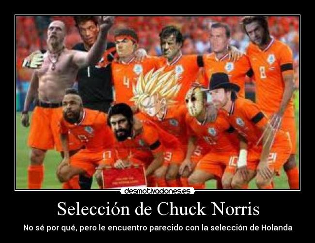 carteles seleccion chuck norris desmotivaciones