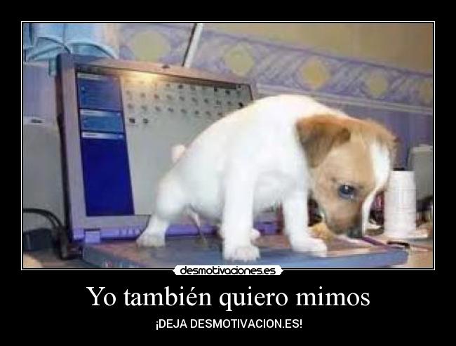 Yo también quiero mimos - ¡DEJA DESMOTIVACION.ES!