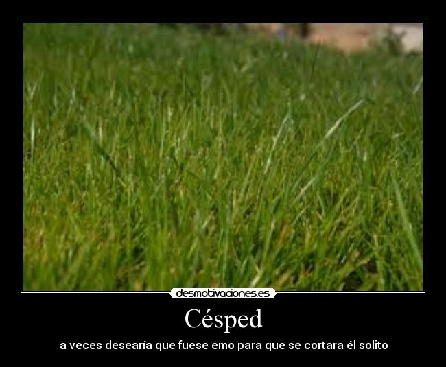 carteles cesped desmotivaciones