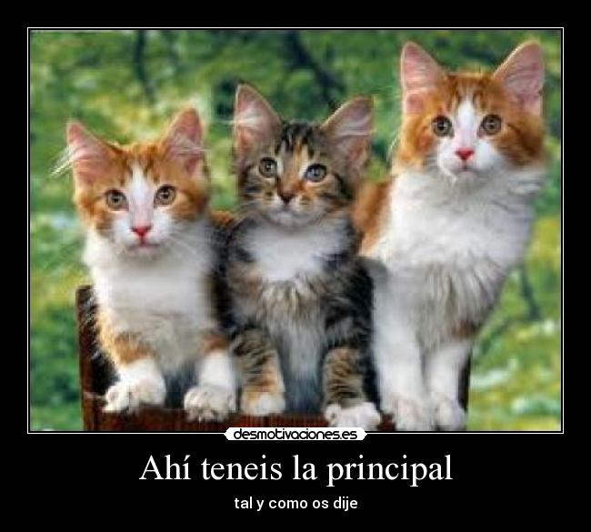 Ahí teneis la principal - 