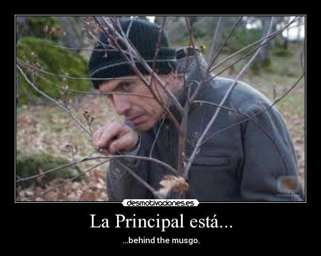 La Principal está... -