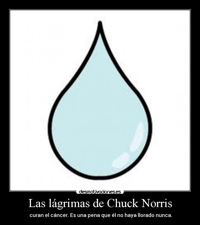 Las lágrimas de Chuck Norris - 