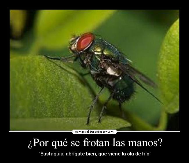 ¿Por qué se frotan las manos? - 