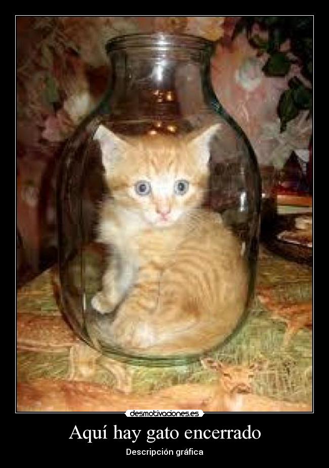Aquí hay gato encerrado -