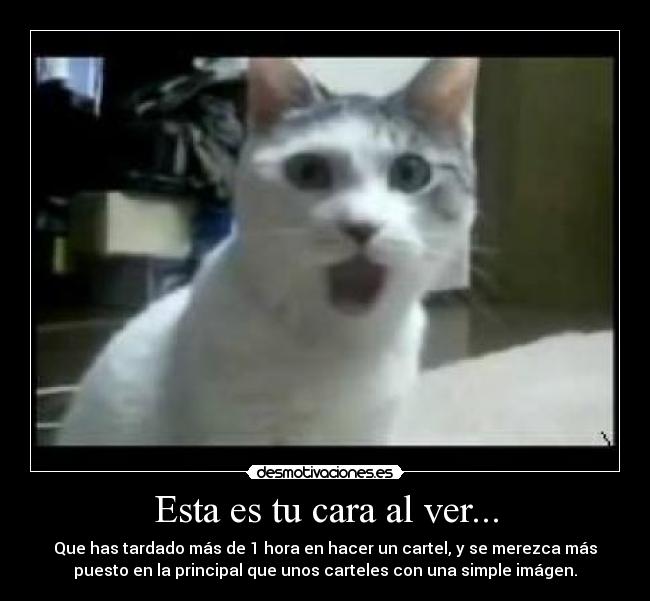 Esta es tu cara al ver... - Que has tardado más de 1 hora en hacer un cartel, y se merezca más
puesto en la principal que unos carteles con una simple imágen.