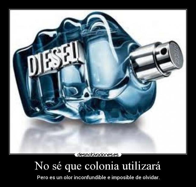 No sé que colonia utilizará - 