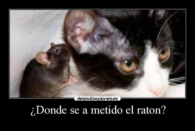 ¿Donde se a metido el raton? - 