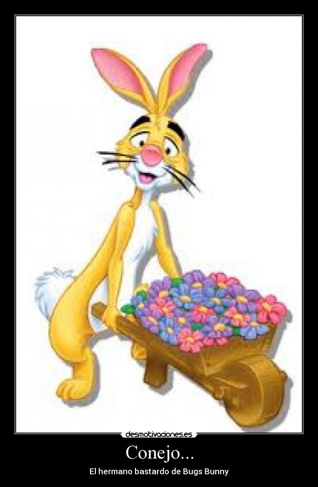 Conejo... - 