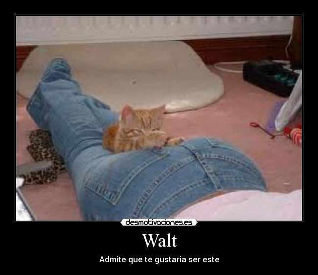 Walt - Admite que te gustaria ser este