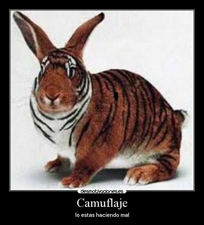 Camuflaje - lo estas haciendo mal