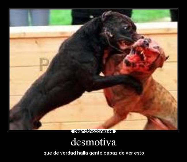 desmotiva -