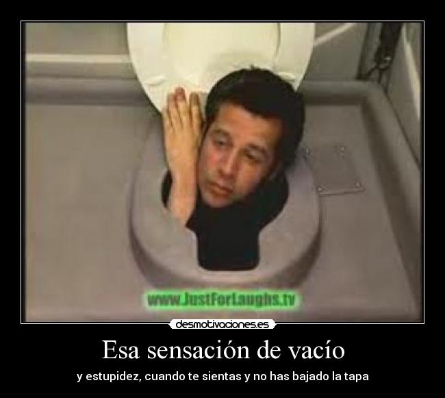 Esa sensación de vacío - y estupidez, cuando te sientas y no has bajado la tapa