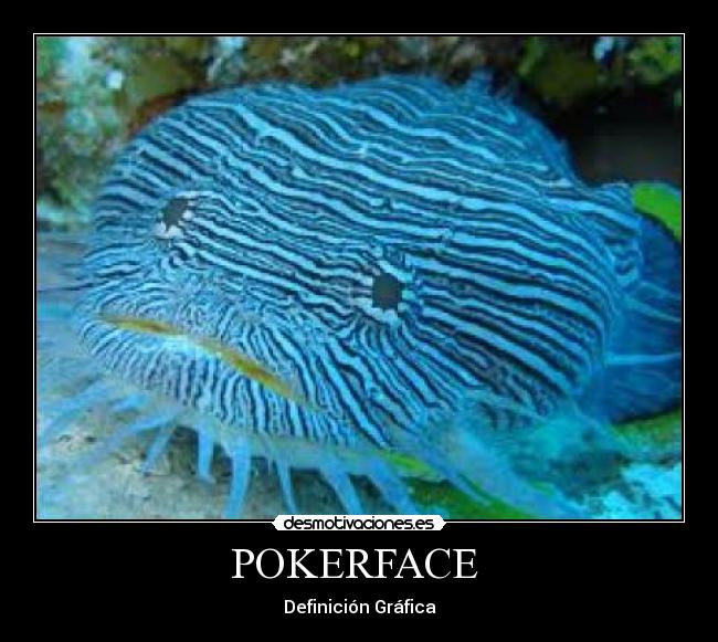 POKERFACE - Definición Gráfica
