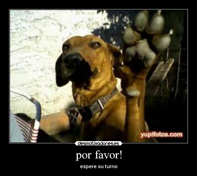 por favor! - espere su turno