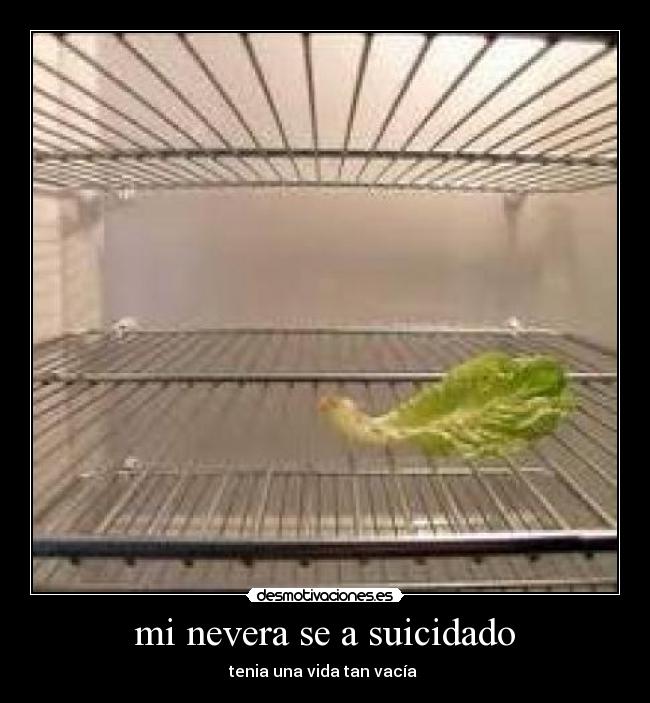 mi nevera se a suicidado - tenia una vida tan vacía