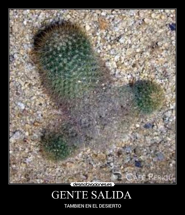 GENTE SALIDA  - TAMBIEN EN EL DESIERTO