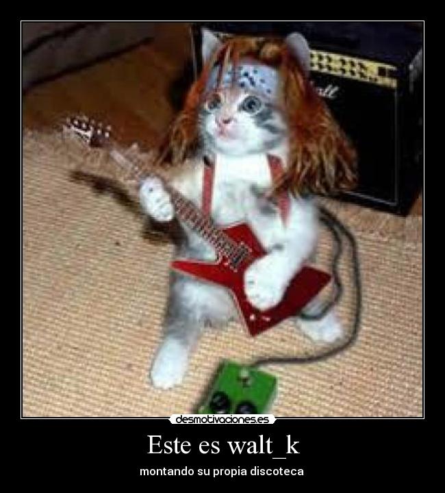 Este es walt_k -