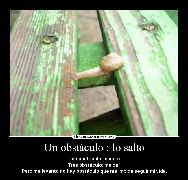 carteles desmotivaciones