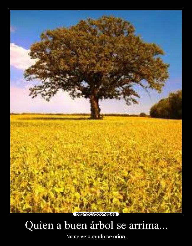 Quien a buen árbol se arrima... - No se ve cuando se orina.