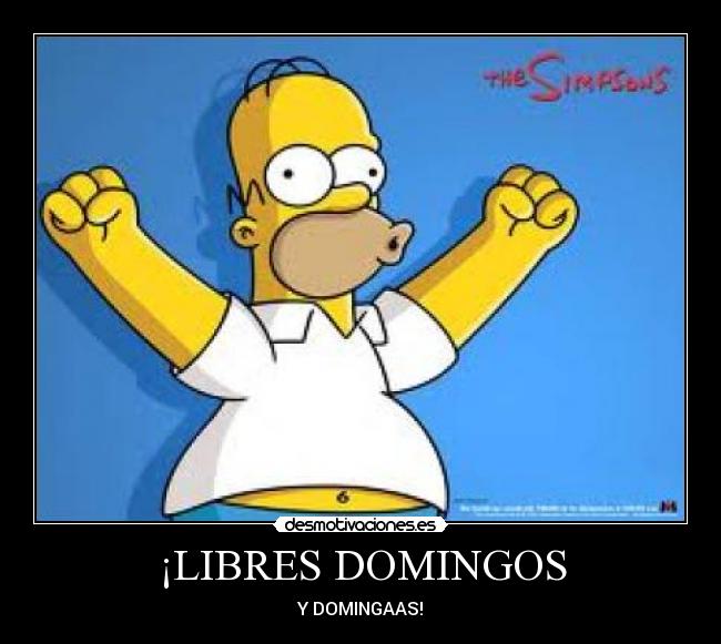 ¡LIBRES DOMINGOS - 
