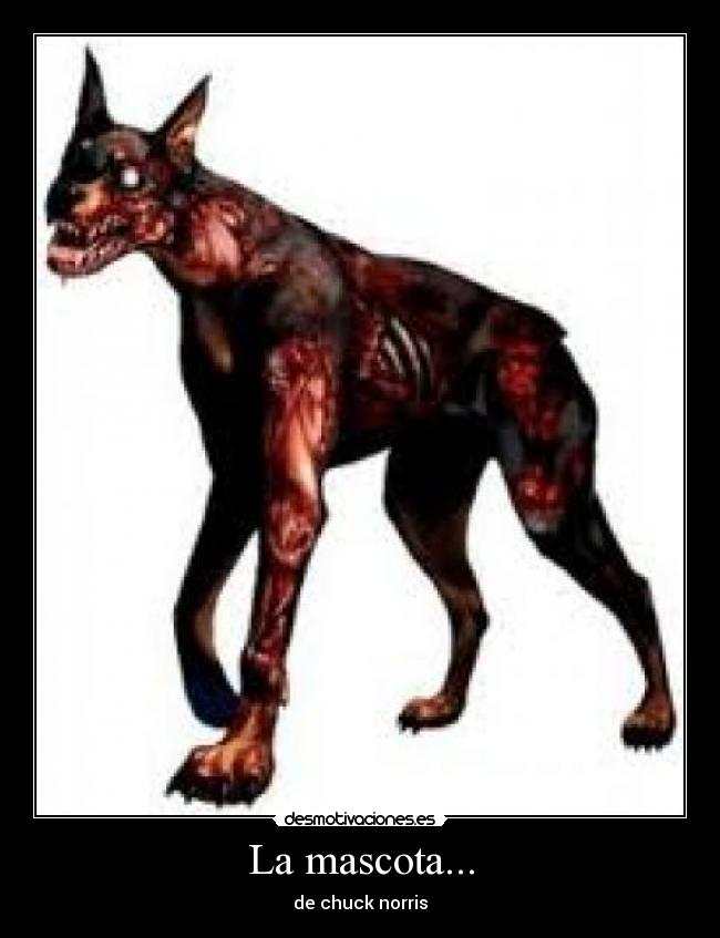 La mascota... - de chuck norris