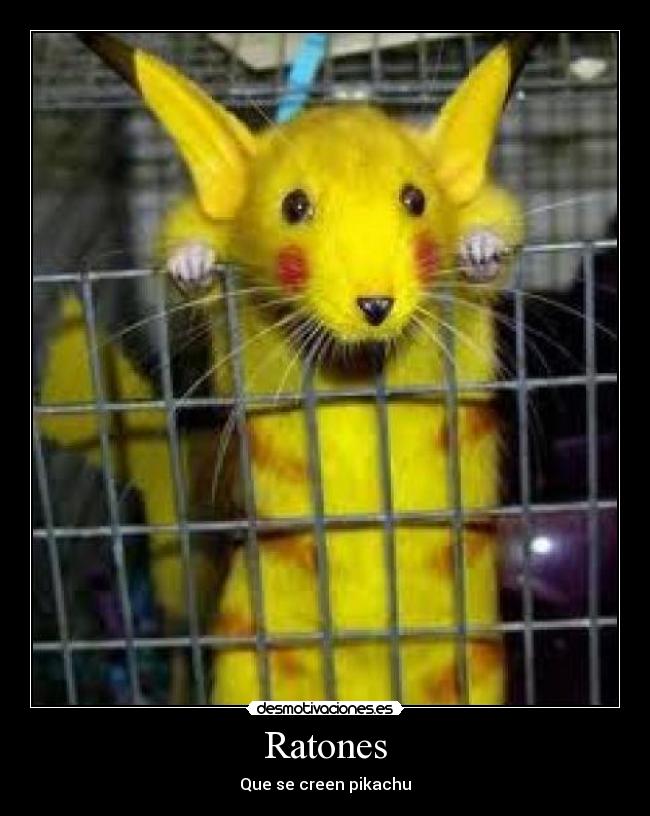 Ratones - Que se creen pikachu