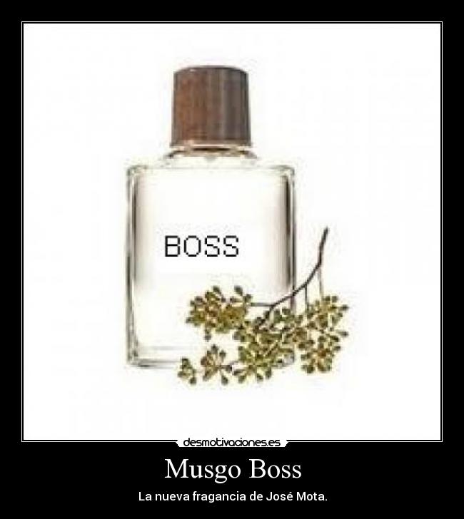 Musgo Boss - 