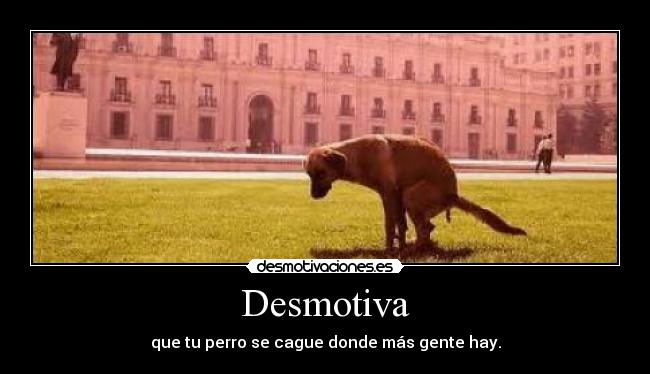Desmotiva - que tu perro se cague donde más gente hay.