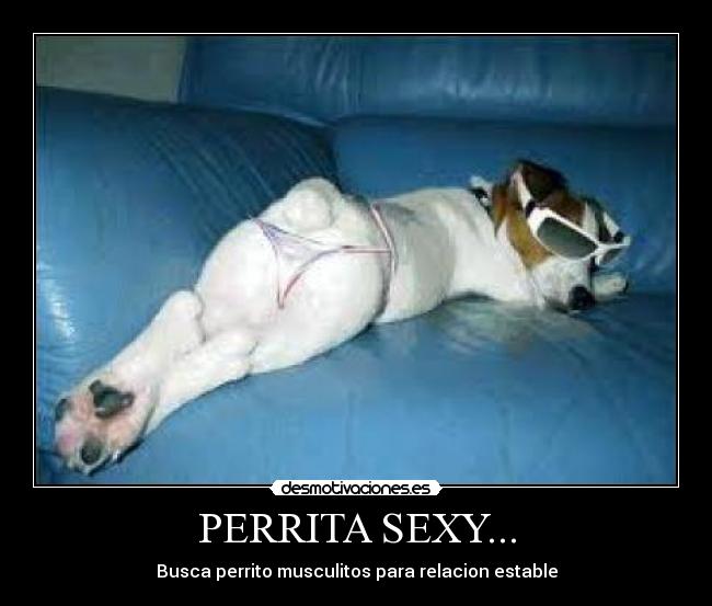 PERRITA SEXY... -