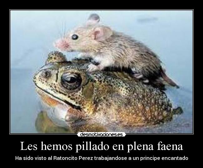 Les hemos pillado en plena faena - Ha sido visto al Ratoncito Perez trabajandose a un principe encantado