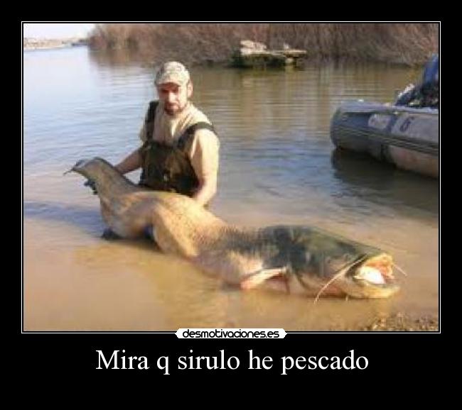 carteles humor desmotivaciones