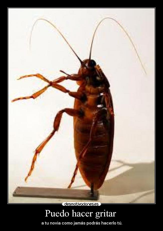 Puedo hacer gritar  - 