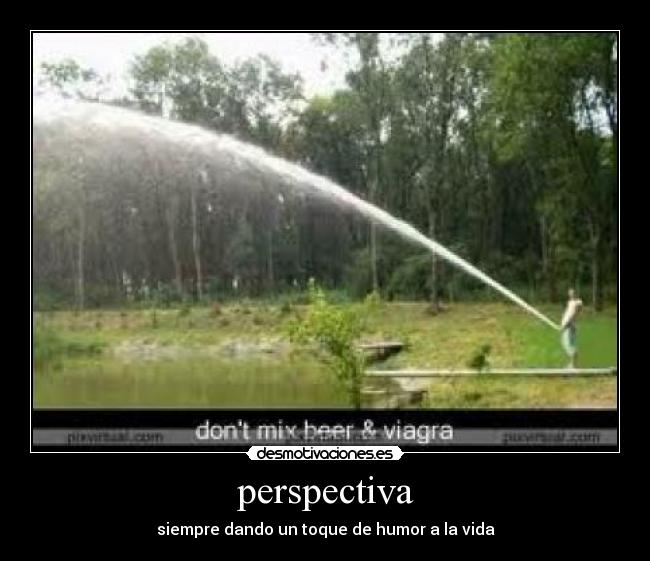perspectiva - siempre dando un toque de humor a la vida