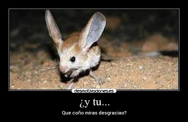 ¿y tu... - Que coño miras desgraciao?