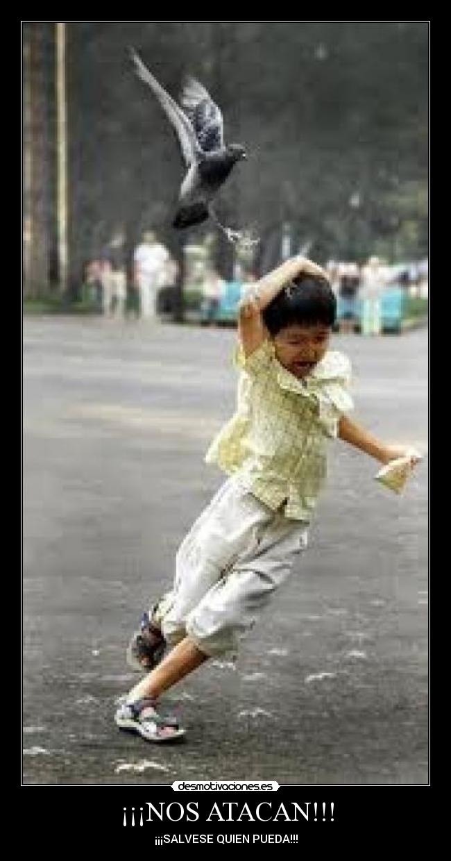 ¡¡¡NOS ATACAN!!! -