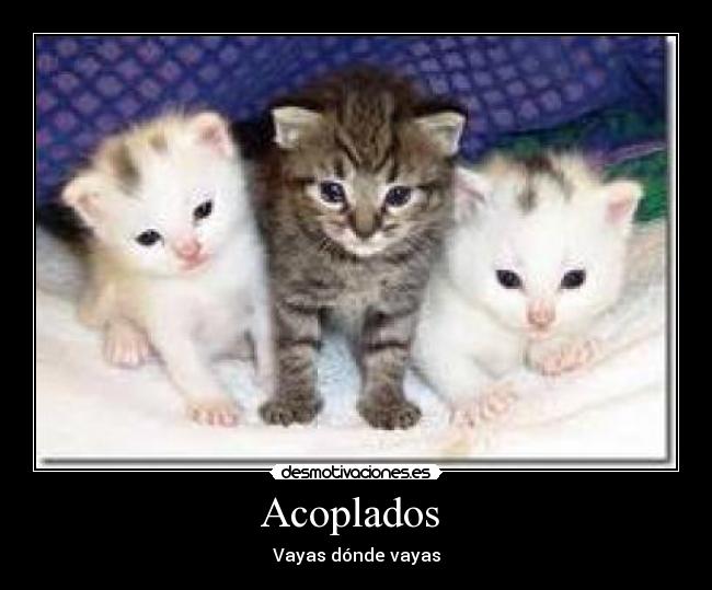 Acoplados -